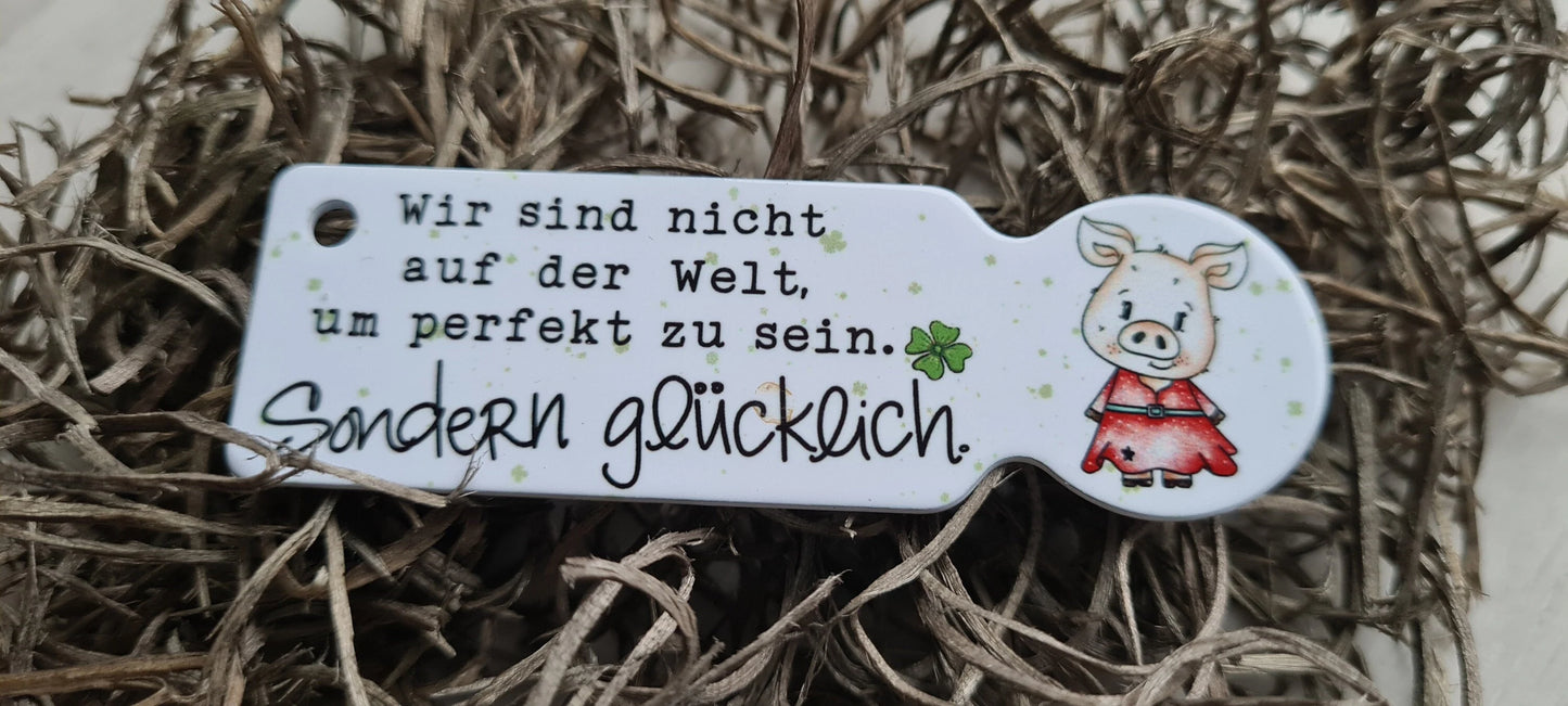 Glücks Schwein