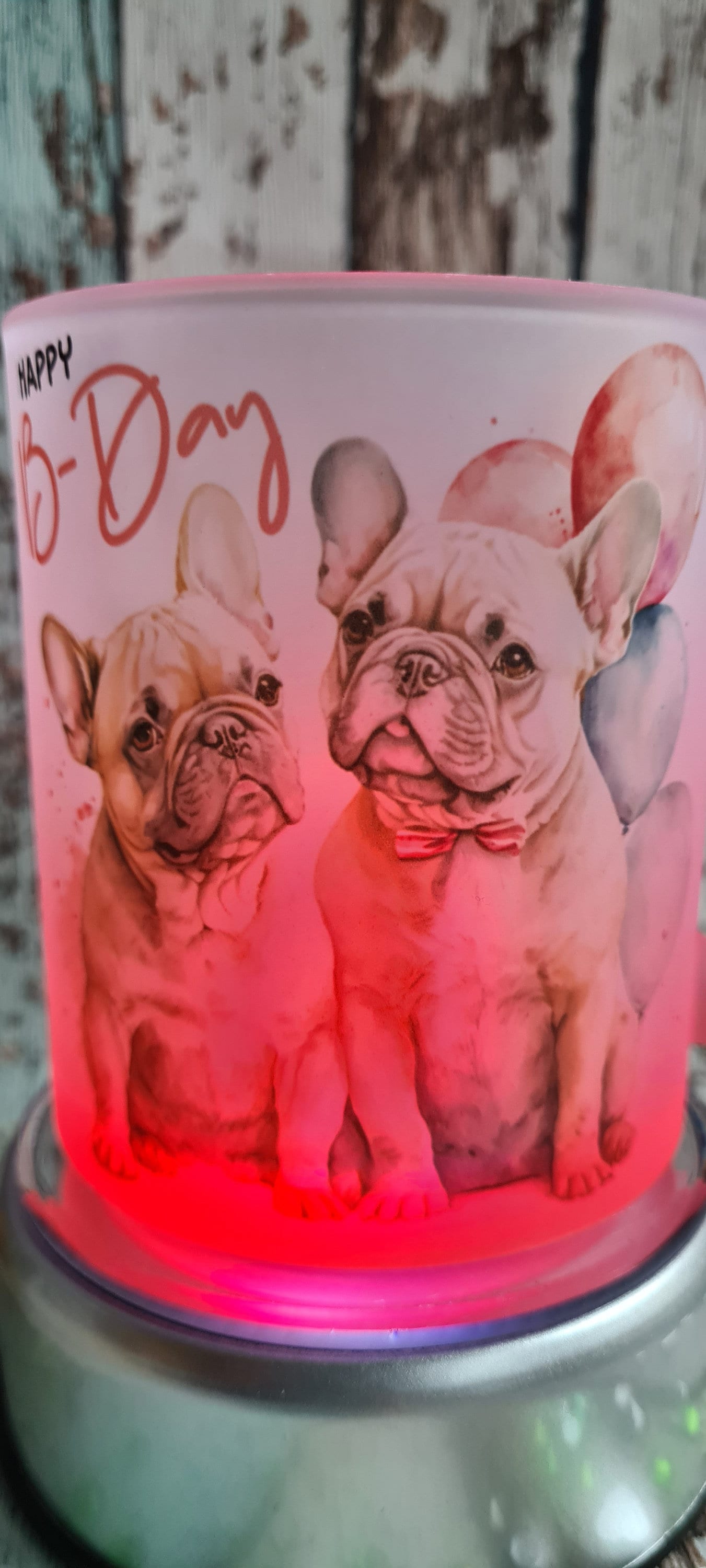 Tierischer Geburtstag