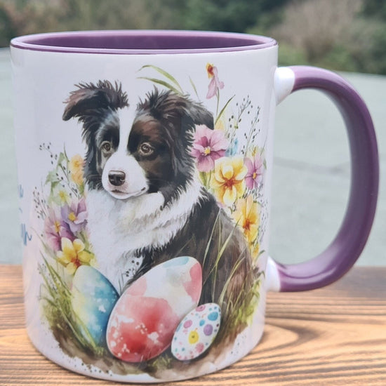 Border Collie Ostern